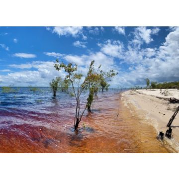 Lais Puzzle - Manaus, Amazonas, Brasilien - 100, 200, 500 & 1.000 Teile