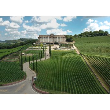 Lais Puzzle - Luftaufnahme des Tals der Weinberge in Bento Gonçalves, in der Serra Gaúcha, Brasilien - 100, 200, 500 & 1.000 Teile