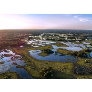 Lais Puzzle - Pantanal fotografiert in Corumba, Mato Grosso do Sul. Pantanal-Biom, Brasilien - 100, 200, 500 & 1.000 Teile