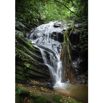 Lais Puzzle - Wasserfall in Lomba Grande - ländlicher Bezirk der Stadt Novo Hamburgo - RS, Brasilien - 100, 200, 500 & 1.000 Teile