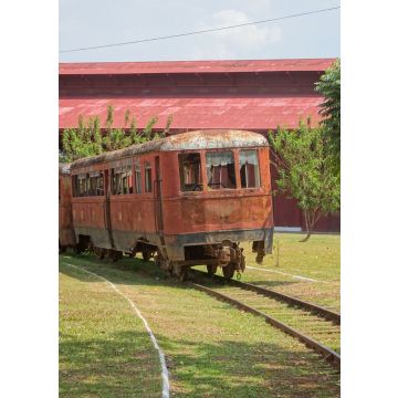 Lais Puzzle - Verlassener Eisenbahnwaggon in Porto Velho, Brasilien - 100, 200, 500 & 1.000 Teile