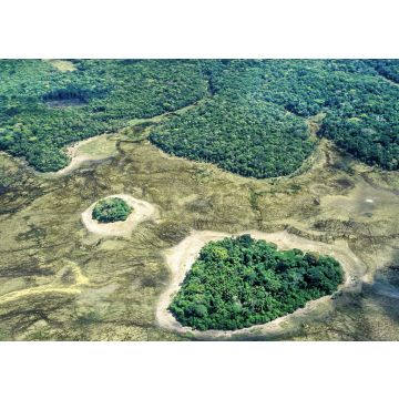 Lais Puzzle - Amazonaswald in der Nähe der Stadt Serra do Navio, Brasilien - 100, 200, 500 & 1.000 Teile