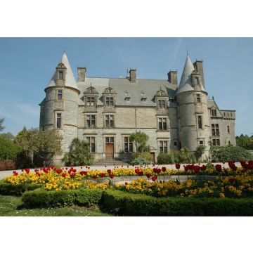 Lais Puzzle - Schloss von Tourlaville, Frankreich - 100, 200, 500 & 1.000 Teile