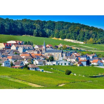Lais Puzzle - Champagner-Weinberge Mancy im Departement Marne, Frankreich - 100, 200, 500 & 1.000 Teile