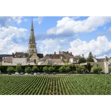 Lais Puzzle - Meursault, Burgund, Frankreich - 100, 200, 500 & 1.000 Teile