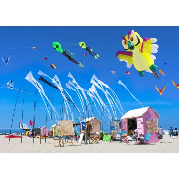 Lais Puzzle - Berck-sur-Mer - Frankreich / Festival du cerf-volant - 100, 200, 500 & 1.000 Teile