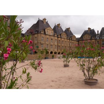 Lais Puzzle - Strand Place Ducale im Sommer in Charleville Mezieres, Franrkeich - 100, 200, 500 & 1.000 Teile
