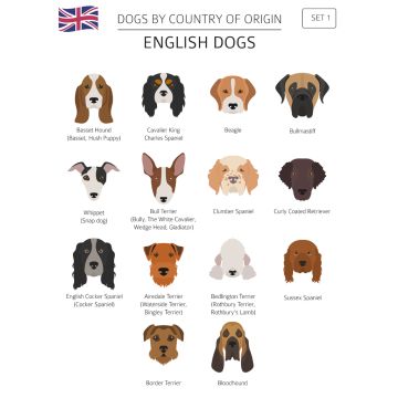 Lais Puzzle - Hunde Großbritanniens - 100, 200, 500 & 1.000 Teile
