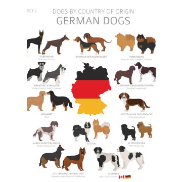Lais Puzzle - Hunde Deutschlands - 100, 200, 500 & 1.000 Teile