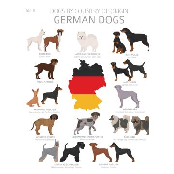 Lais Puzzle - Hunde Deutschlands - 100, 200, 500 & 1.000 Teile
