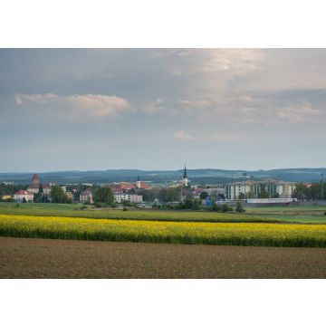Lais Puzzle - Horn in Niederösterreich - 100, 200, 500 & 1.000 Teile