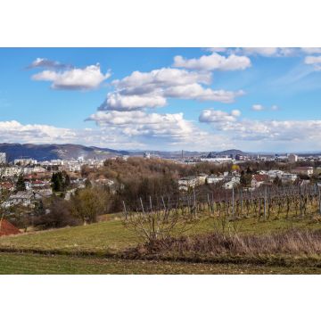 Lais Puzzle - Leonding Oberösterreich - 100, 200, 500 & 1.000 Teile