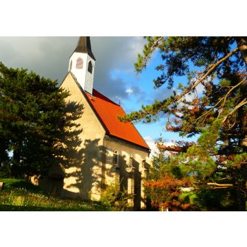 Lais Puzzle - Ternitz Niederösterreich - 100, 200, 500 & 1.000 Teile