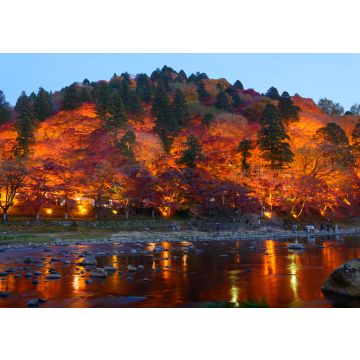 Lais Puzzle - Herbstlaub in Korankei, Aichi, Japan - 100, 200, 500 & 1.000 Teile