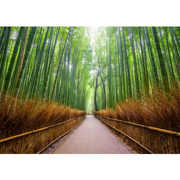 Lais Puzzle - Pfad zum Bambuswald, Arashiyama, Kyoto, Japan - 100, 200, 500 & 1.000 Teile