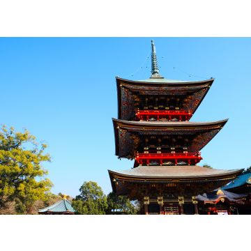 Lais Puzzle - Naritasan Shinshoji-Tempel, Japan - 100, 200, 500 & 1.000 Teile