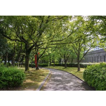 Lais Puzzle - Hiroshima Kunstmuseum, Japan - 100, 200, 500 & 1.000 Teile