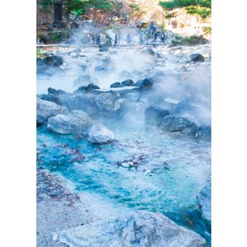 Lais Puzzle - Sainokawara Park. Gunma, Japan - 100, 200, 500 & 1.000 Teile