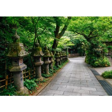 Lais Puzzle - Nanzo-in-Tempel, Fukuoka, Japan - 100, 200, 500 & 1.000 Teile