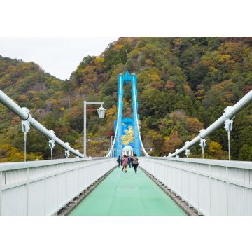 Lais Puzzle - Große Hängebrücke Ryujin, Japan - 100, 200, 500 & 1.000 Teile