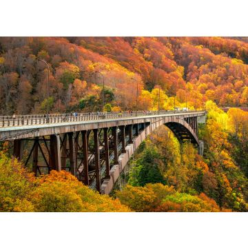 Lais Puzzle - Jogakura-Brücke, Japan - 100, 200, 500 & 1.000 Teile