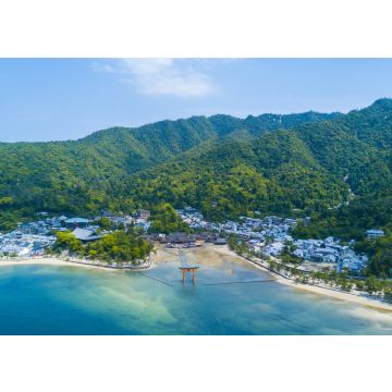 Lais Puzzle - Itsukushima, Japan - 100, 200, 500 & 1.000 Teile