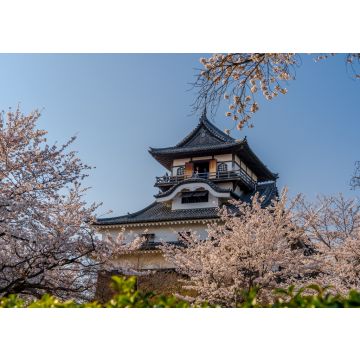Lais Puzzle - Schloss Inuyama und Kirschblüten, Japan - 100, 200, 500 & 1.000 Teile