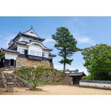 Lais Puzzle - Bitchu Matsuyama Schloss, Japan - 100, 200, 500 & 1.000 Teile