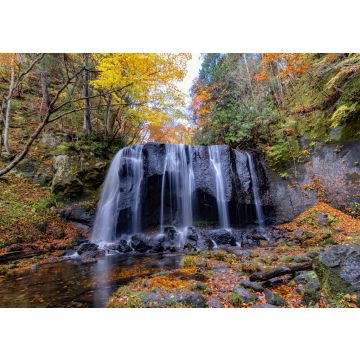 Lais Puzzle - Tatsuzawa Fudo No Taki Wasserfall, Japan - 100, 200, 500 & 1.000 Teile