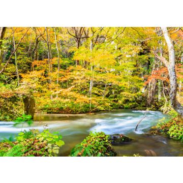 Lais Puzzle - Towada-Hachimantai-Nationalpark, Japan - 100, 200, 500 & 1.000 Teile