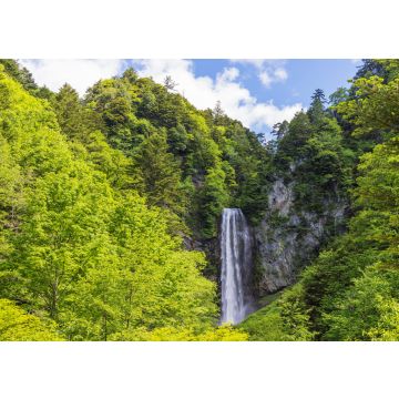 Lais Puzzle - Hirayu Wasserfälle, Gifu, Honshu, Japan - 100, 200, 500 & 1.000 Teile