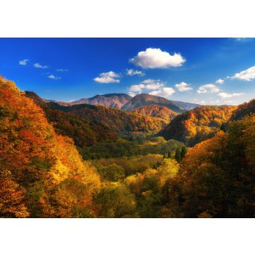 Lais Puzzle - Herbstlich bunter Berg in Tohoku, Japan - 100, 200, 500 & 1.000 Teile
