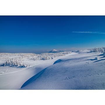 Lais Puzzle - Towada Hachimantai National Park, Japan - 100, 200, 500 & 1.000 Teile