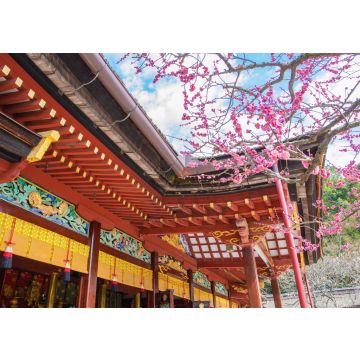 Lais Puzzle - Dazaifu Tenmangu, Hakata, Japan - 100, 200, 500 & 1.000 Teile