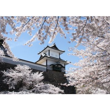 Lais Puzzle - Ishikawa-mon Tor Kanazawa Burg, Japan - 100, 200, 500 & 1.000 Teile