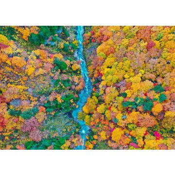 Lais Puzzle - Berg Hakkoda, Japan - 100, 200, 500 & 1.000 Teile
