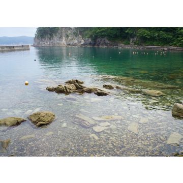 Lais Puzzle - Jodogahama Strand in Iwate, Japan - 100, 200, 500 & 1.000 Teile