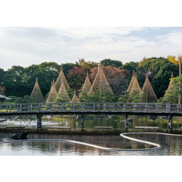Lais Puzzle - Shirotori-Garten, Aichi, Japan - 100, 200, 500 & 1.000 Teile