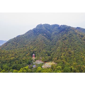 Lais Puzzle - Pagode auf dem Berg Kinka, Japan - 100, 200, 500 & 1.000 Teile