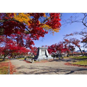 Lais Puzzle - Herbst im Iwate-Park, Morioka-Stadt, Iwate, Japan - 100, 200, 500 & 1.000 Teile