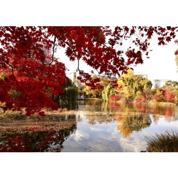Lais Puzzle - Nakajima Park (Sapporo), Japan - 100, 200, 500 & 1.000 Teile