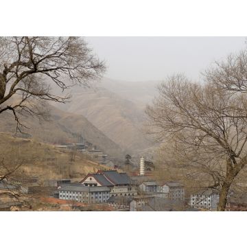 Lais Puzzle - Fünf-Terrassen-Berg, Shanxi, China - 100, 200, 500 & 1.000 Teile