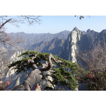 Lais Puzzle - Berg Hua, China - 100, 200, 500 & 1.000 Teile