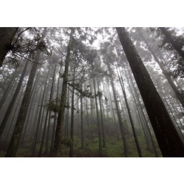 Lais Puzzle - Lushan in Jiujiang Stadt, Jiangxi, China - 100, 200, 500 & 1.000 Teile