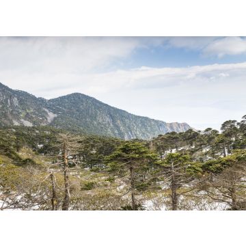 Lais Puzzle - Berg Cang, Yunnan, China - 100, 200, 500 & 1.000 Teile