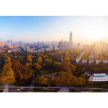 Lais Puzzle - Hubei Wuhan Liberation Park, China - 100, 200, 500 & 1.000 Teile