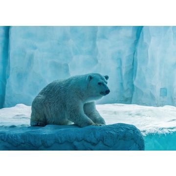 Lais Puzzle - Eisbär im Chimelong Ocean Kingdom, China - 100, 200, 500 & 1.000 Teile
