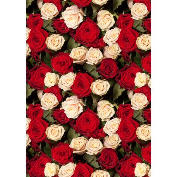 Lais Puzzle - Rosen - 100, 200, 500 & 1.000 Teile