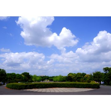 Lais Puzzle - Himmel und Park - 100, 200, 500 & 1.000 Teile