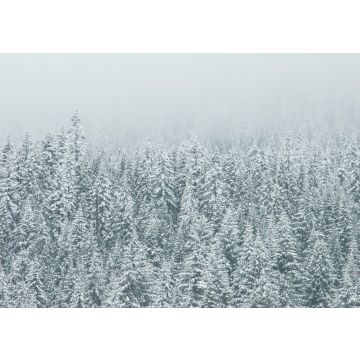 Lais Puzzle - Winterlandschaft - 100, 200, 500 & 1.000 Teile